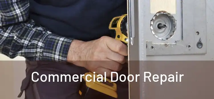 Commercial Door Repair